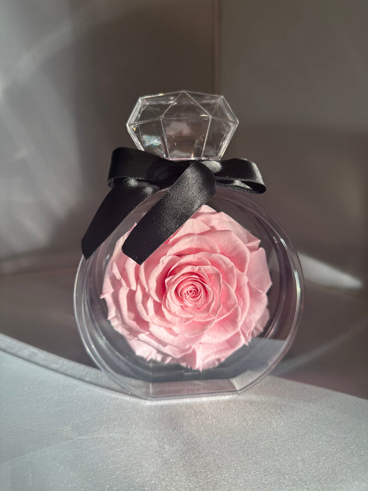 Perfume Bottle with Pink Preserved Rose - Juliet's Roses