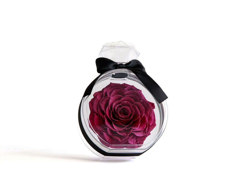 Perfume Bottle with Wine Preserved Rose - Juliet's Roses