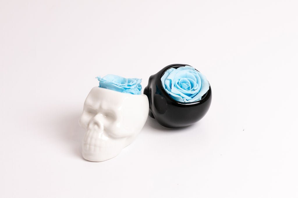 Black Halloween Skull with Rose - Juliet's Roses