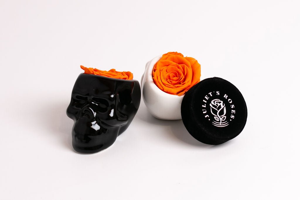 Black Halloween Skull with Rose - Juliet's Roses