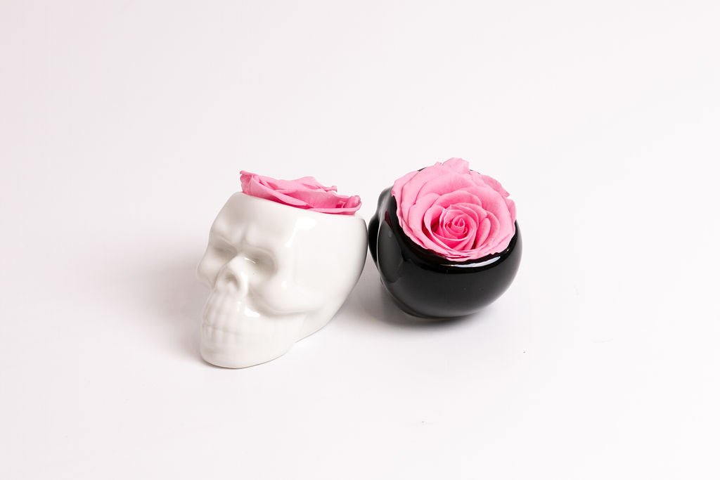 Black Halloween Skull with Rose - Juliet's Roses