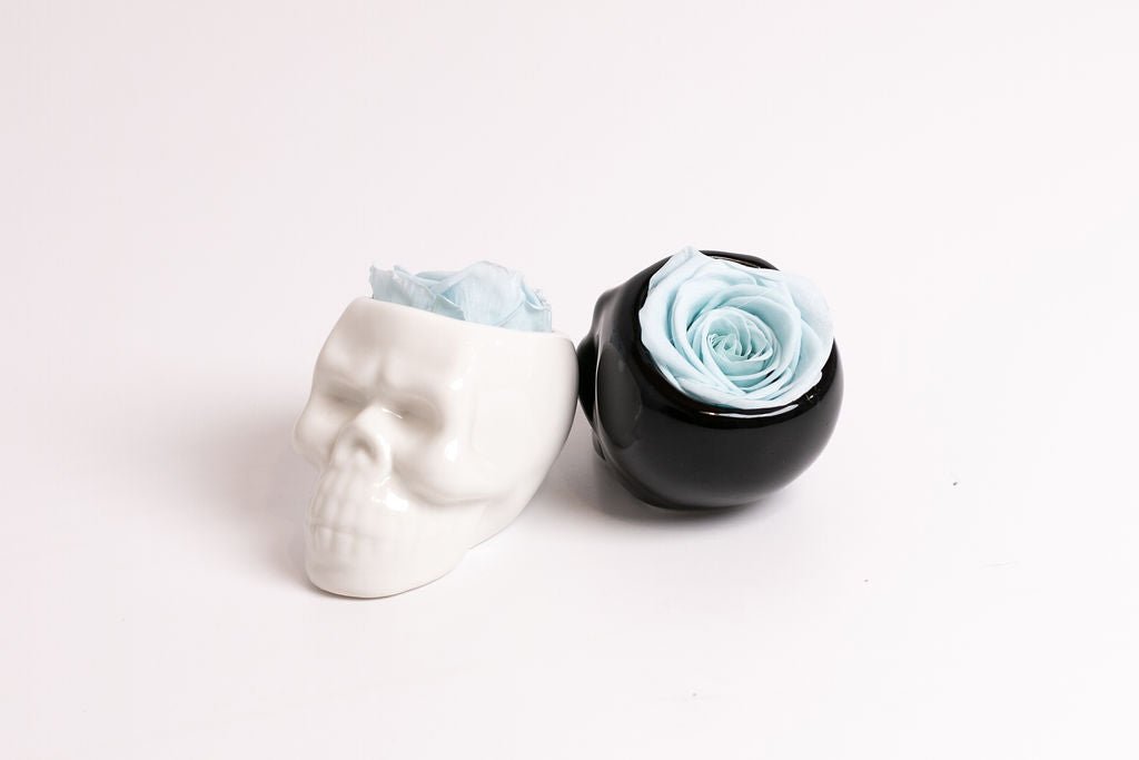 Black Halloween Skull with Rose - Juliet's Roses