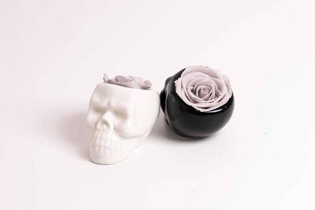 Black Halloween Skull with Rose - Juliet's Roses