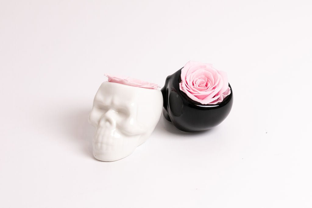 Black Halloween Skull with Rose - Juliet's Roses