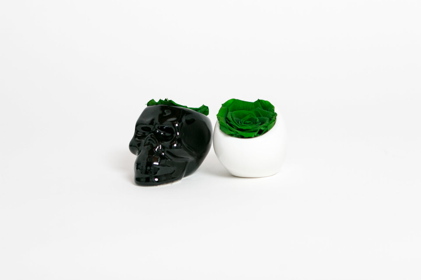 Black Halloween Skull with Rose - Juliet's Roses