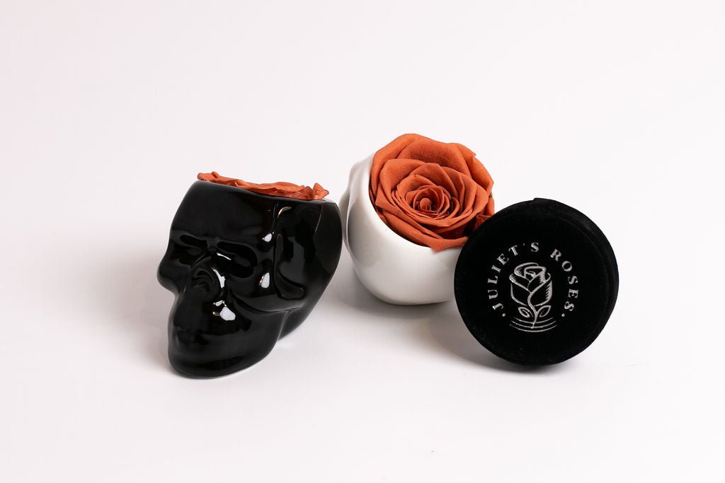 Black Halloween Skull with Rose - Juliet's Roses