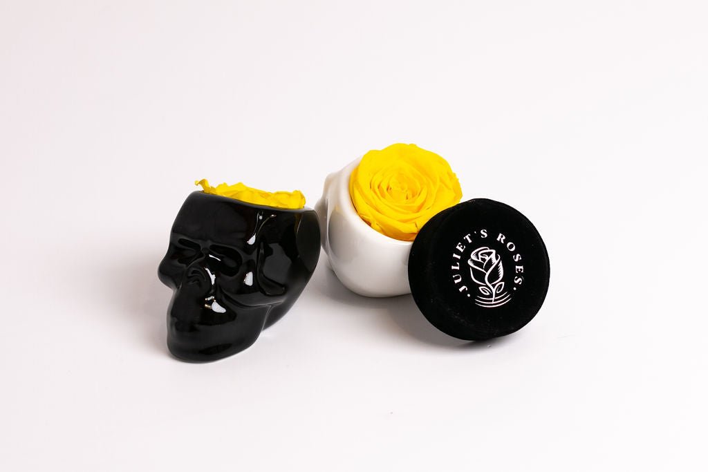 Black Halloween Skull with Rose - Juliet's Roses