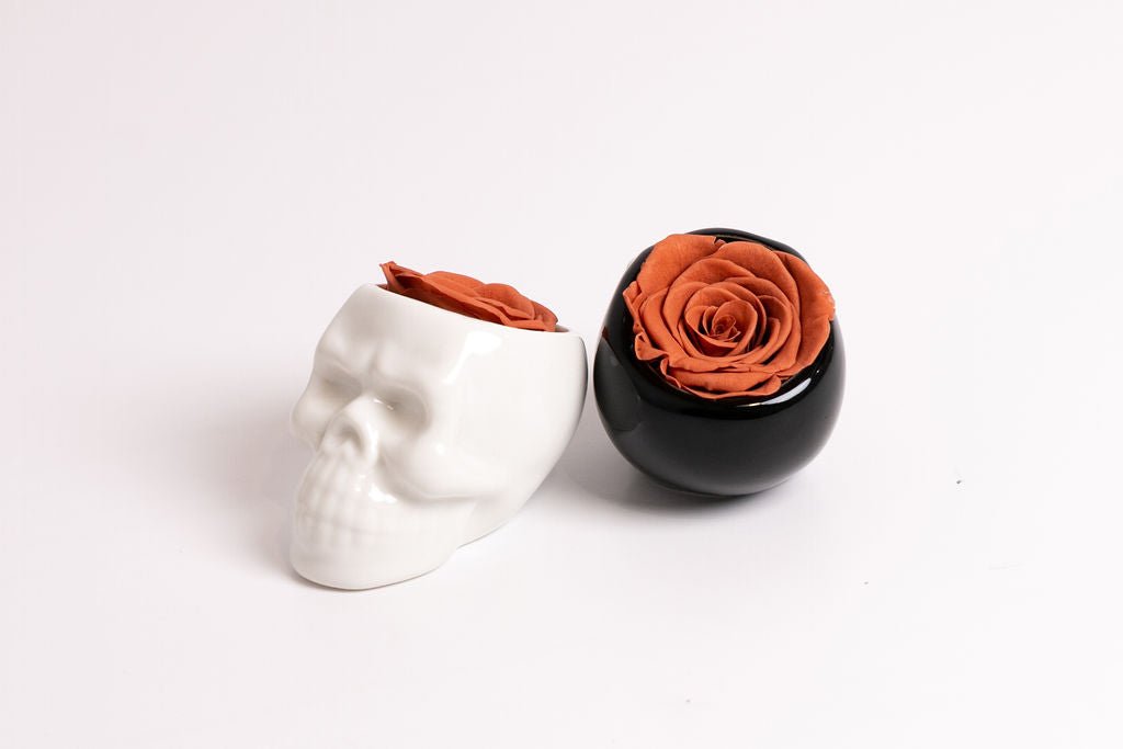 Black Halloween Skull with Rose - Juliet's Roses