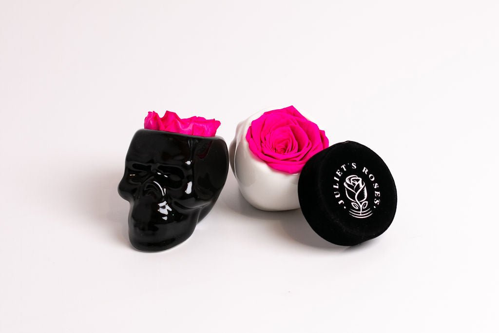 Black Halloween Skull with Rose - Juliet's Roses