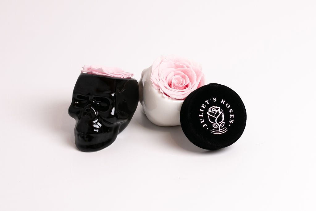 Black Halloween Skull with Rose - Juliet's Roses