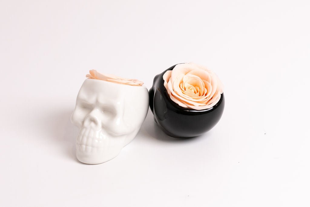 Black Halloween Skull with Rose - Juliet's Roses