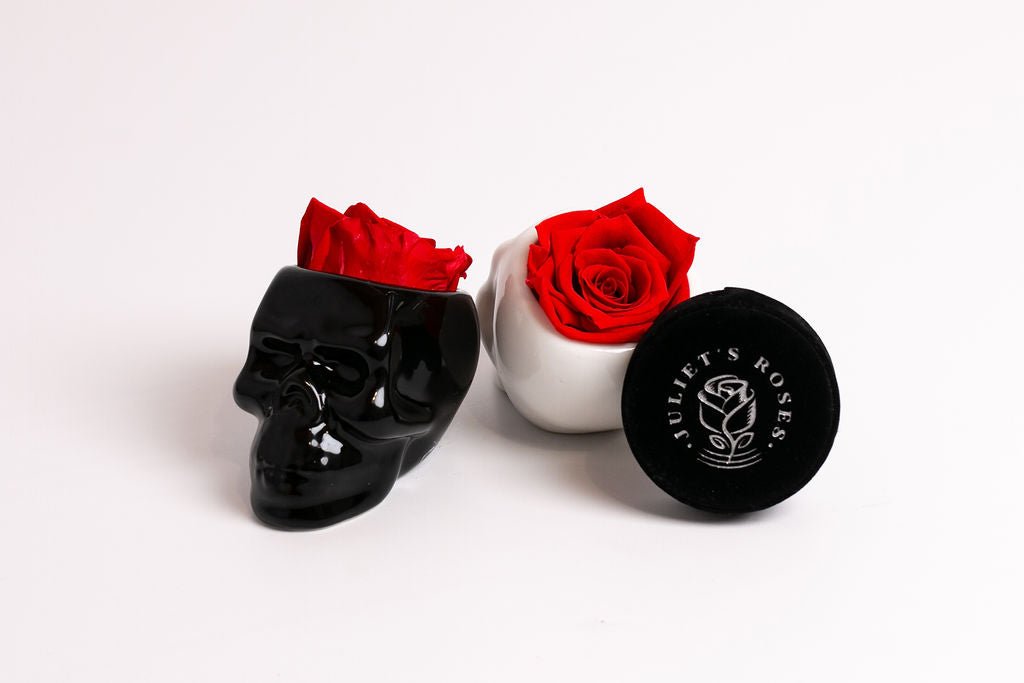 Black Halloween Skull with Rose - Juliet's Roses