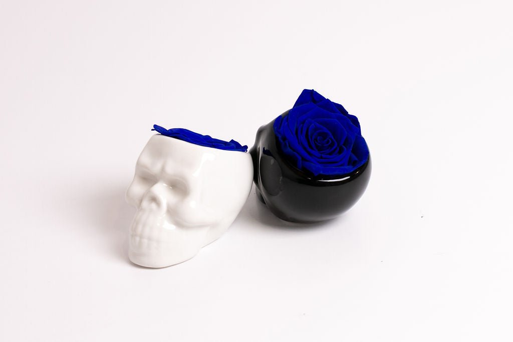 Black Halloween Skull with Rose - Juliet's Roses