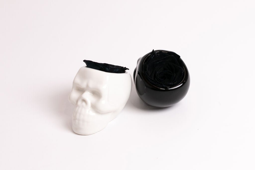 Black Halloween Skull with Rose - Juliet's Roses