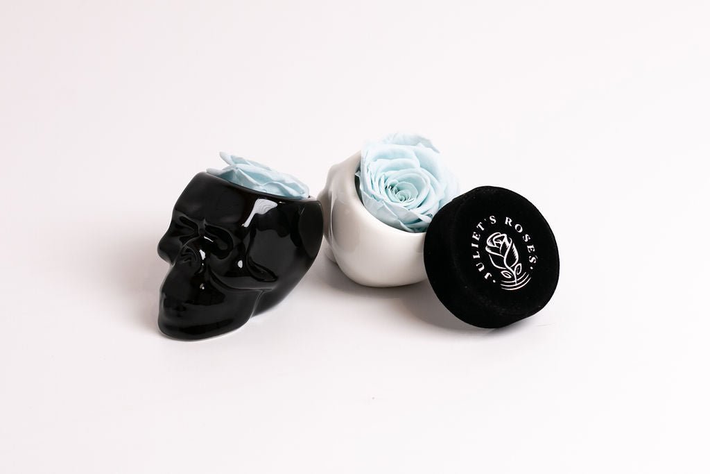 Black Halloween Skull with Rose - Juliet's Roses