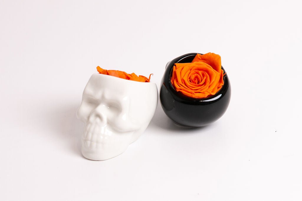 Black Halloween Skull with Rose - Juliet's Roses