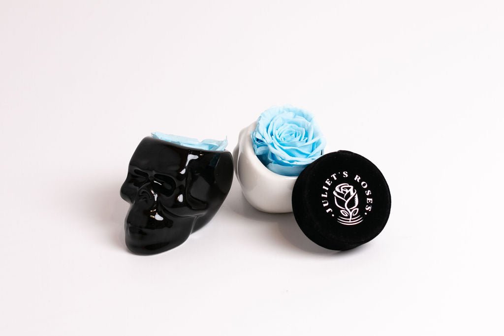 Black Halloween Skull with Rose - Juliet's Roses