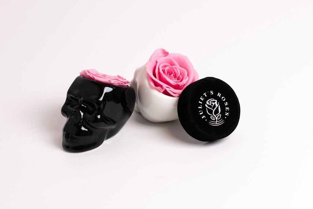 Black Halloween Skull with Rose - Juliet's Roses