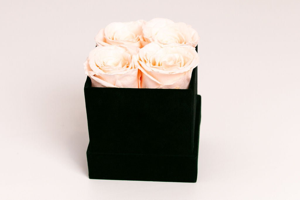 Classic Square Box - Juliet's Roses