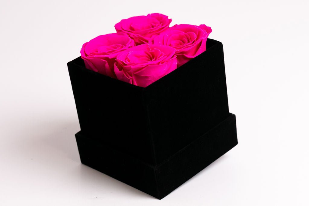 Classic Square Box - Juliet's Roses