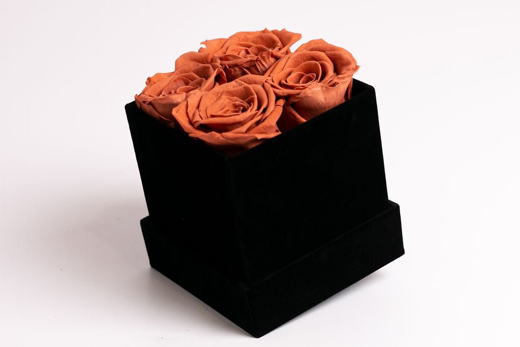 Classic Square Box - Juliet's Roses