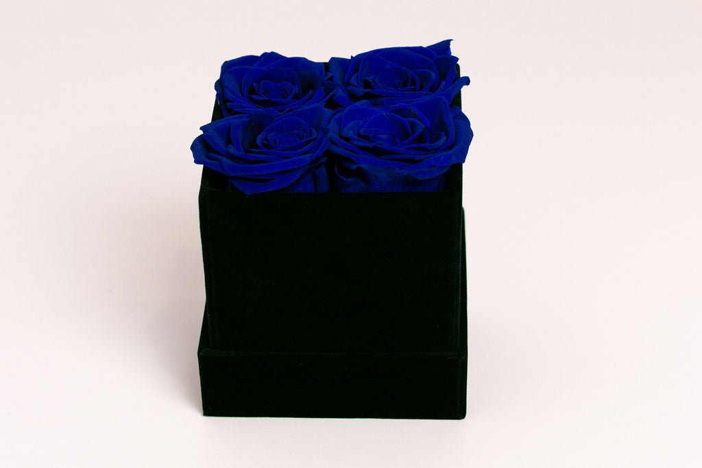 Classic Square Box - Juliet's Roses