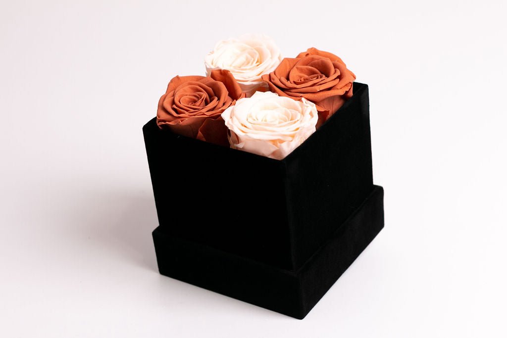 Classic Square Box - Juliet's Roses