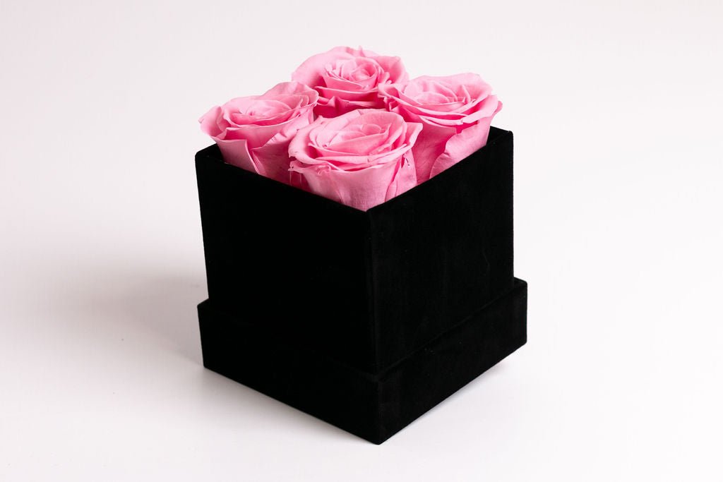 Classic Square Box - Juliet's Roses