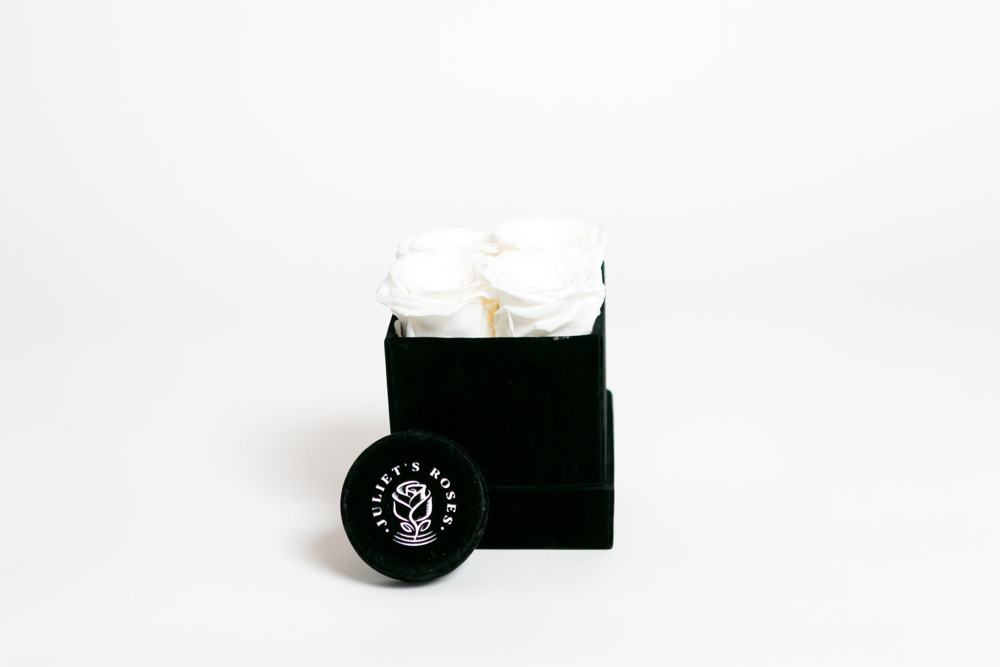 Classic Square Box - Juliet's Roses