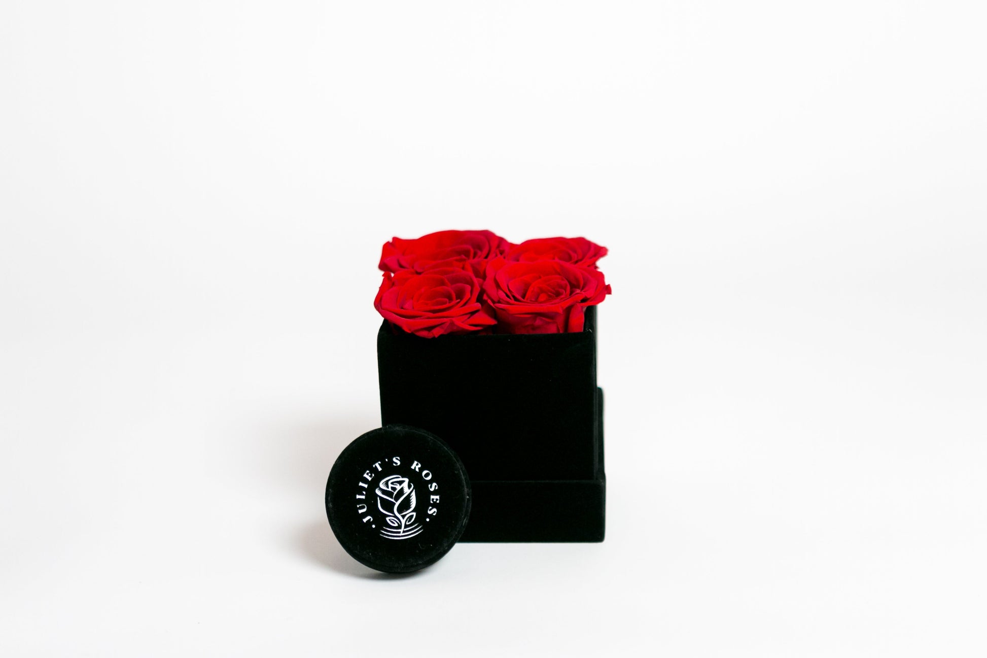 Classic Square Box - Juliet's Roses