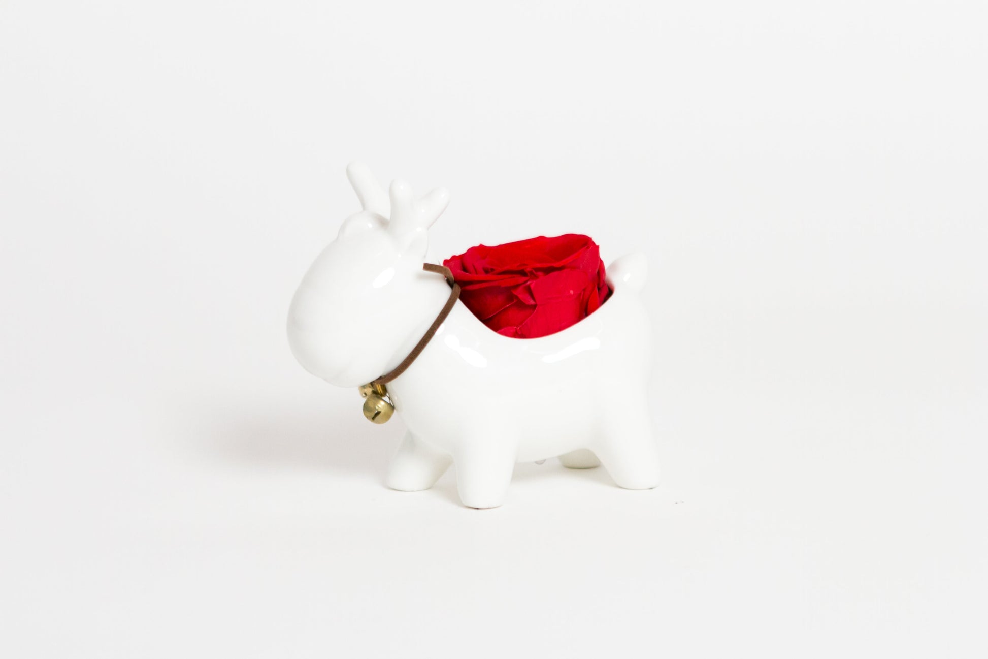 Holiday Reindeer - Juliet's Roses