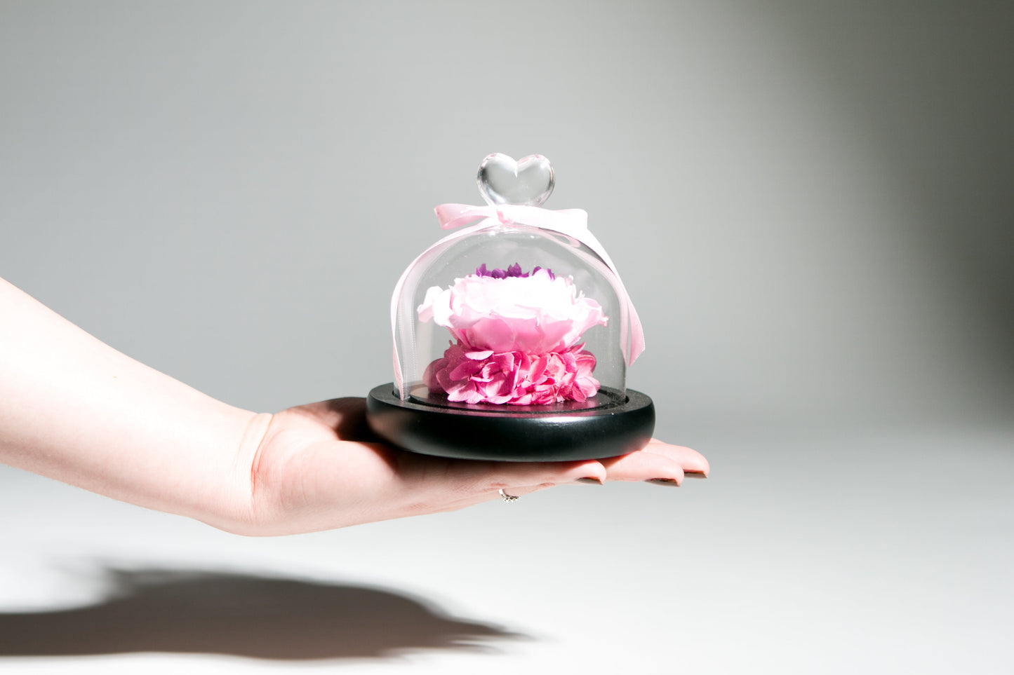Peony in Glass Dome - Juliet's Roses