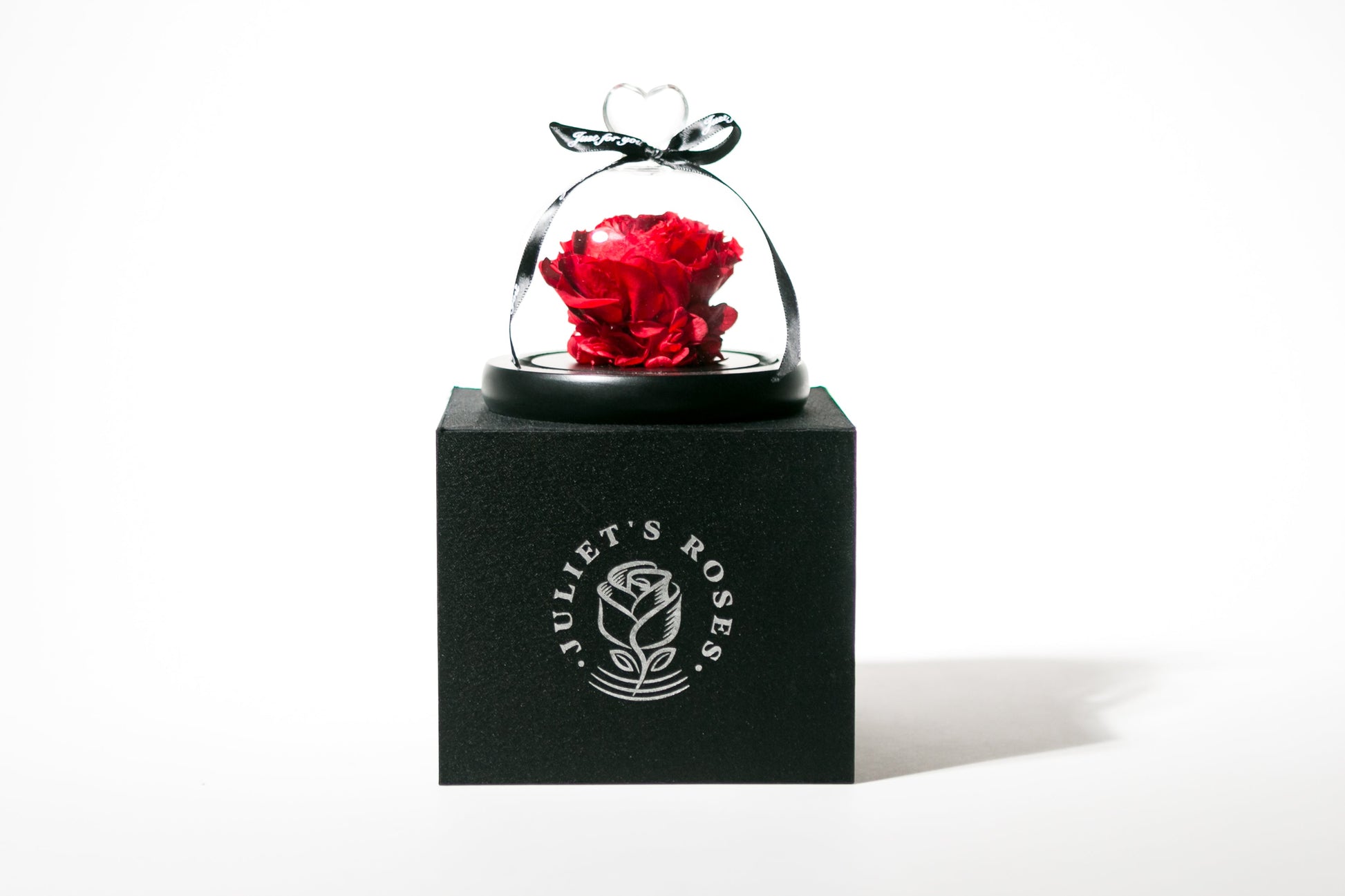 Peony in Glass Dome - Juliet's Roses
