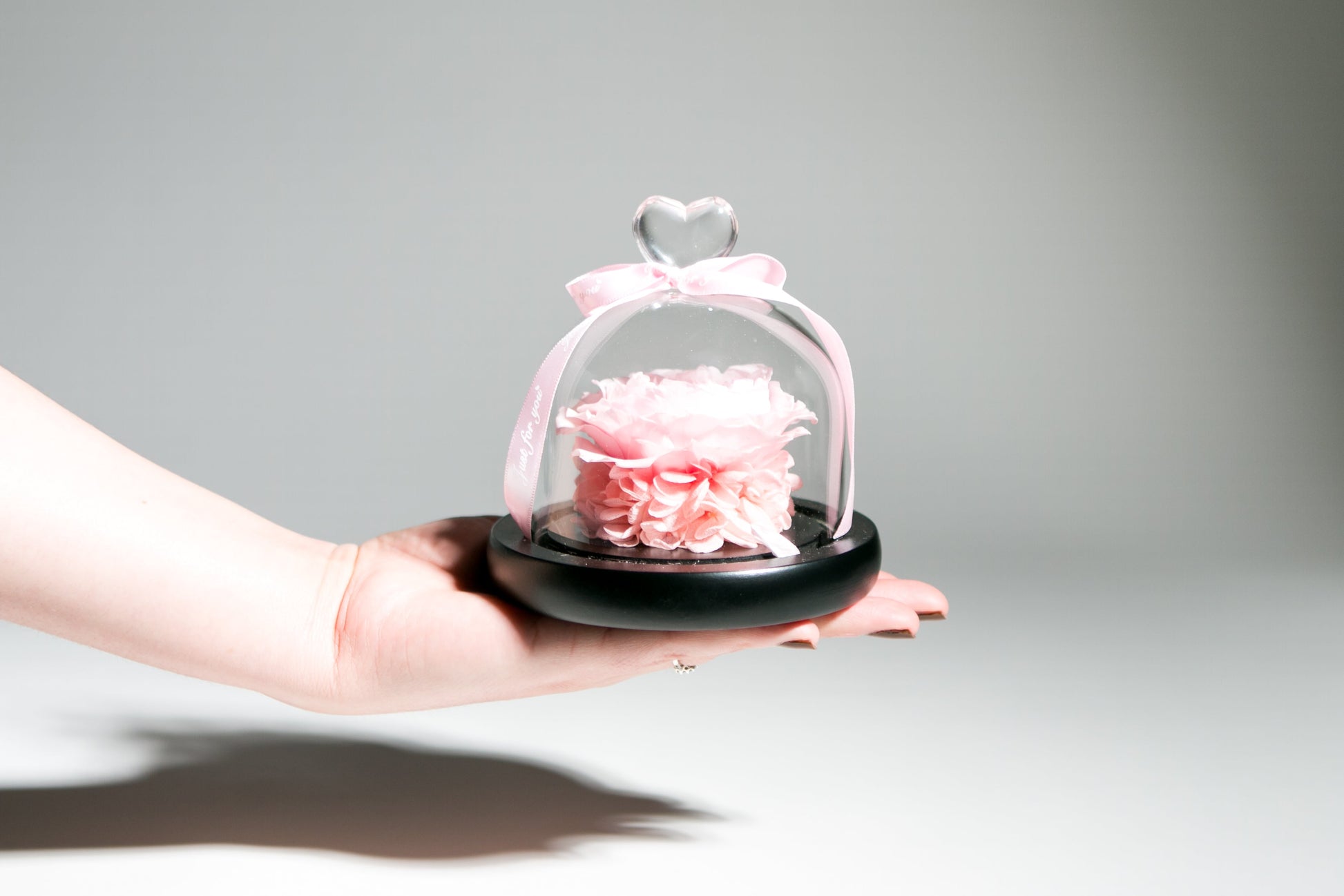 Peony in Glass Dome - Juliet's Roses