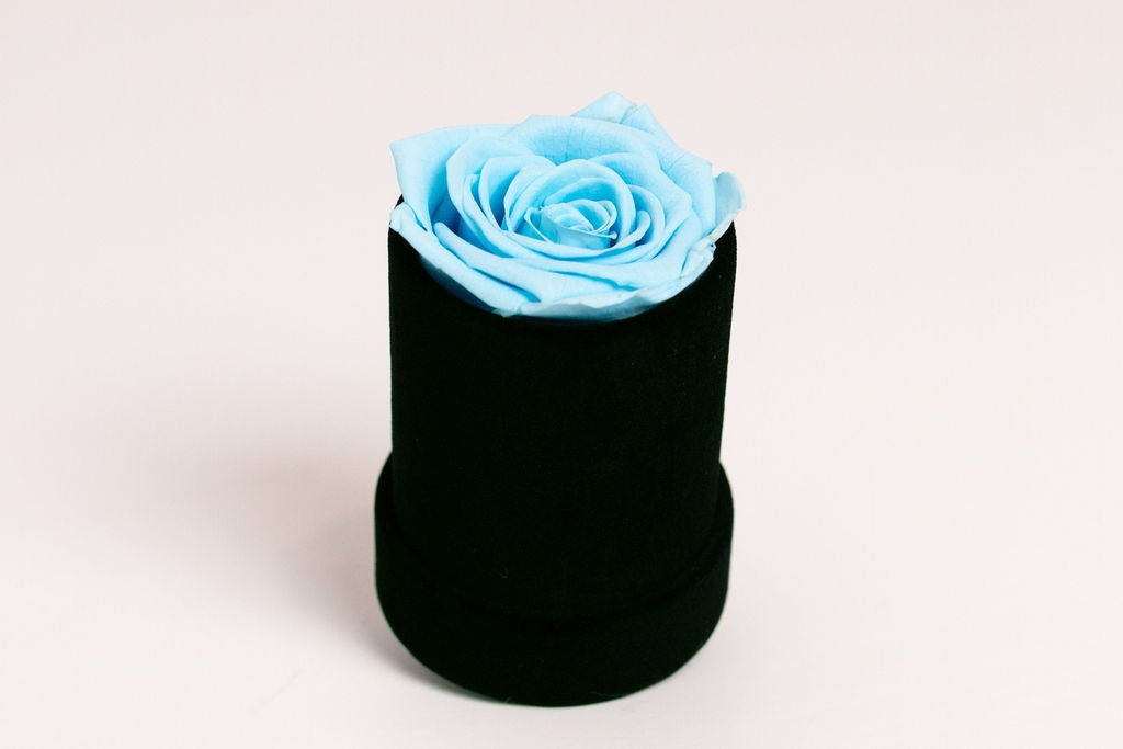 Single Preserved Rose in Black Velvet Display - Juliet's Roses