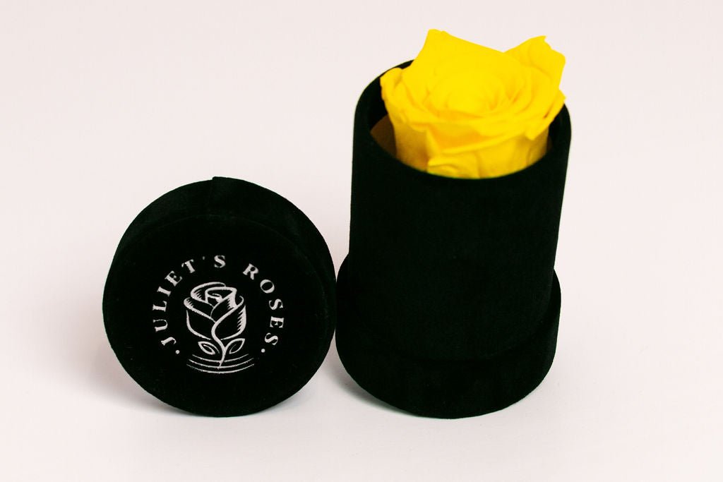 Single Preserved Rose in Black Velvet Display - Juliet's Roses