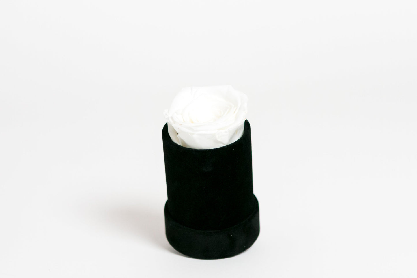 Single Preserved Rose in Black Velvet Display - Juliet's Roses