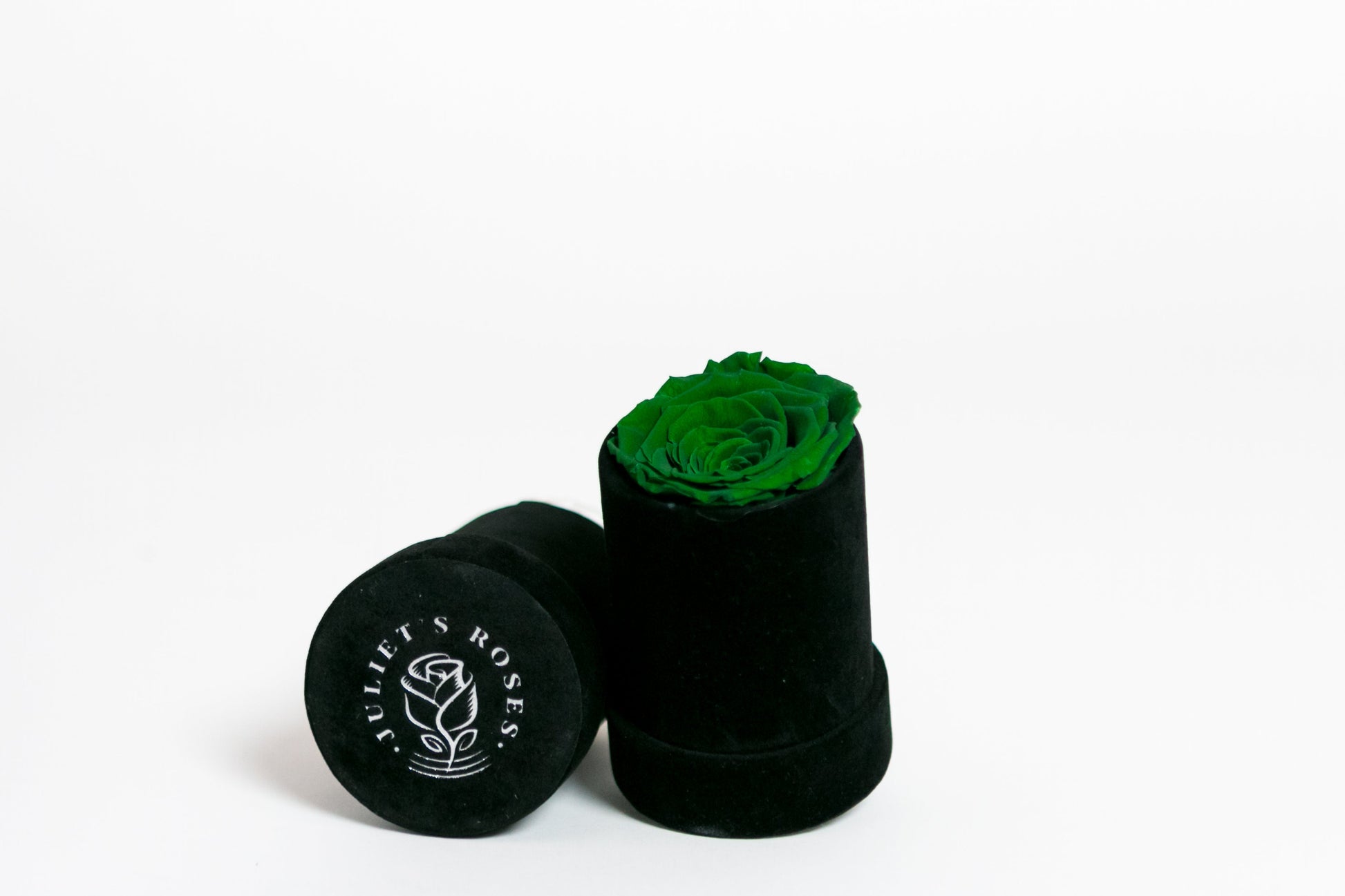 Single Preserved Rose in Black Velvet Display - Juliet's Roses