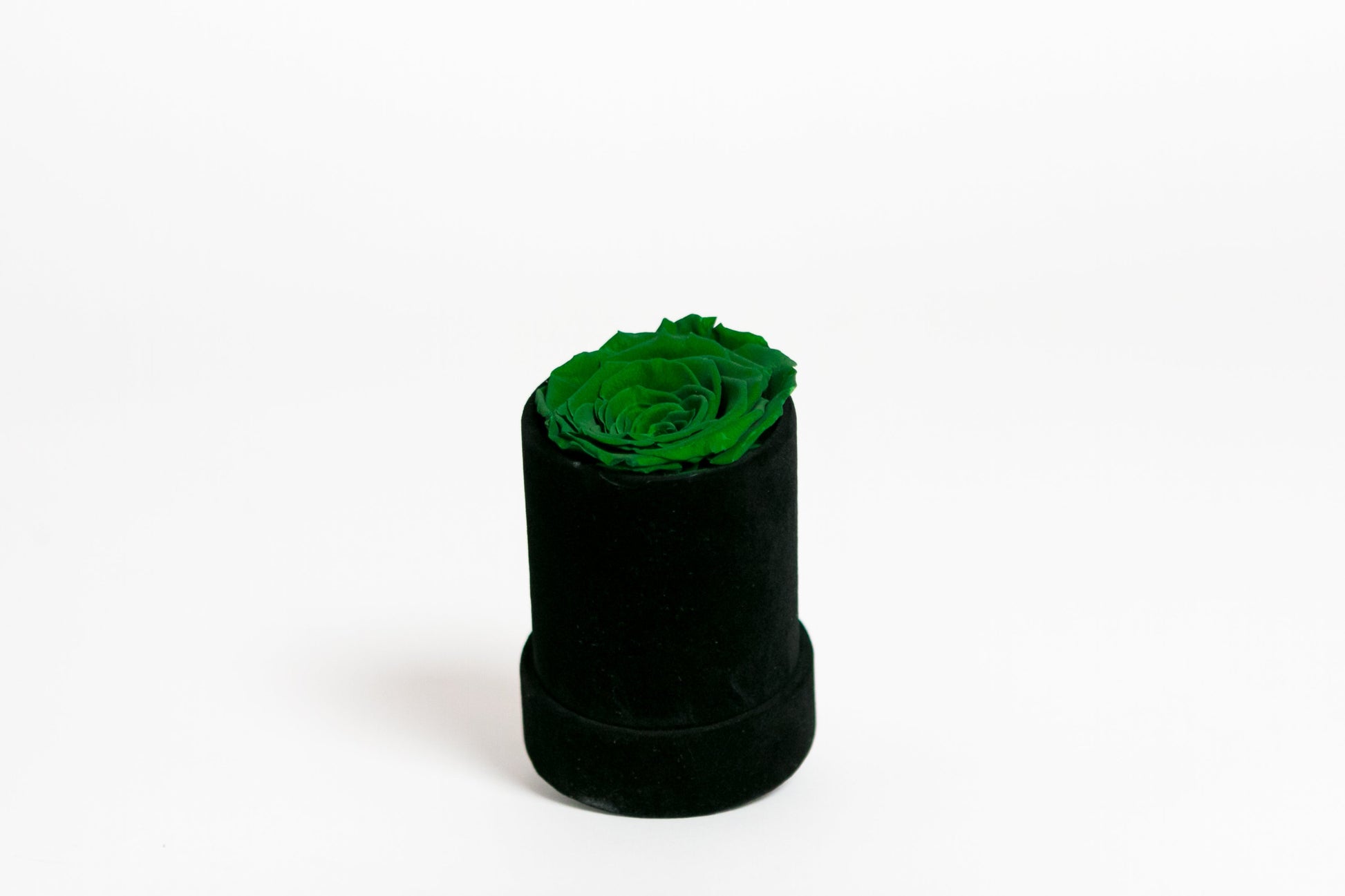 Single Preserved Rose in Black Velvet Display - Juliet's Roses