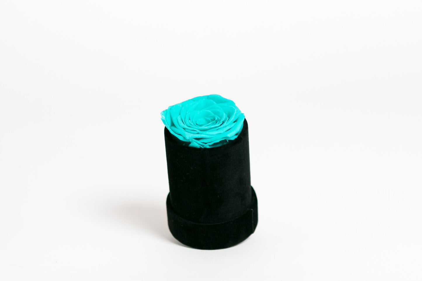 Single Preserved Rose in Black Velvet Display - Juliet's Roses