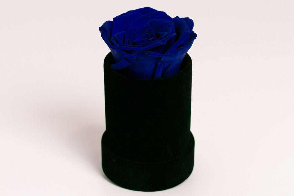 Single Preserved Rose in Black Velvet Display - Juliet's Roses