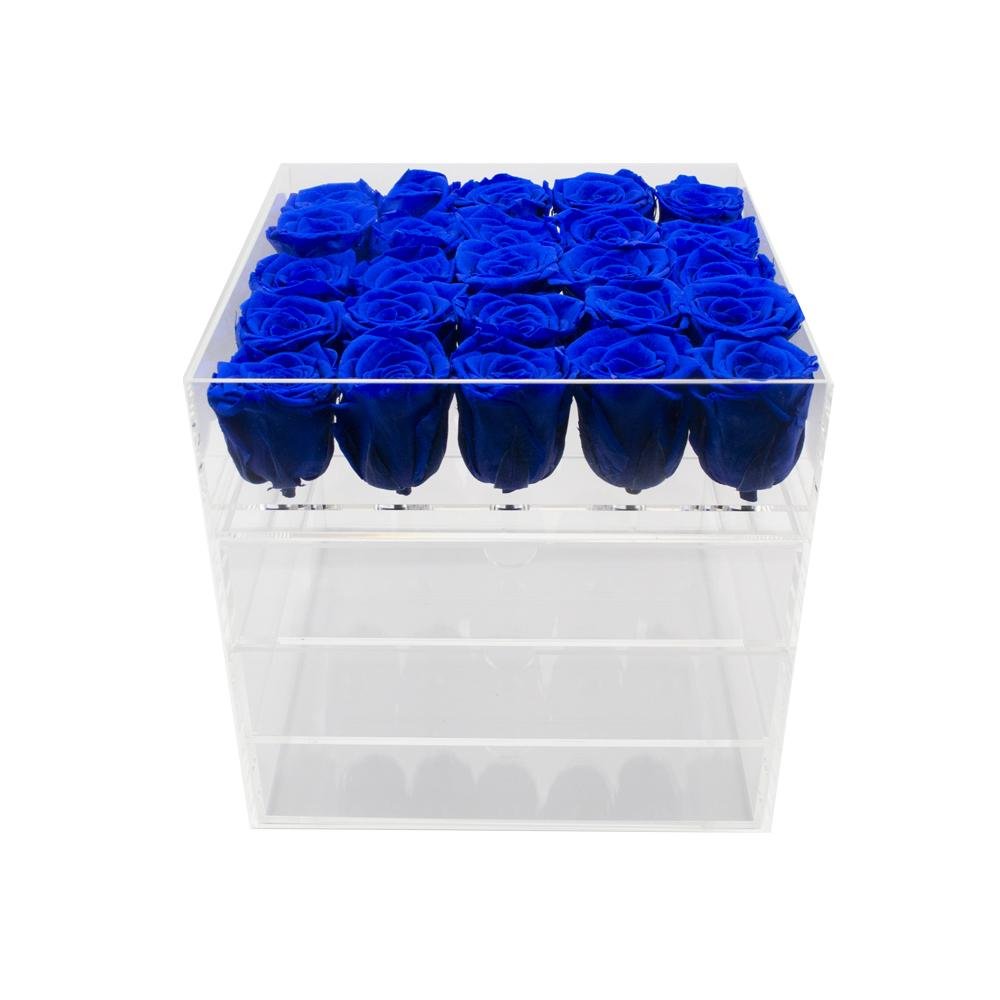 Twenty-five Preserved Roses in Clear Display - Juliet's Roses