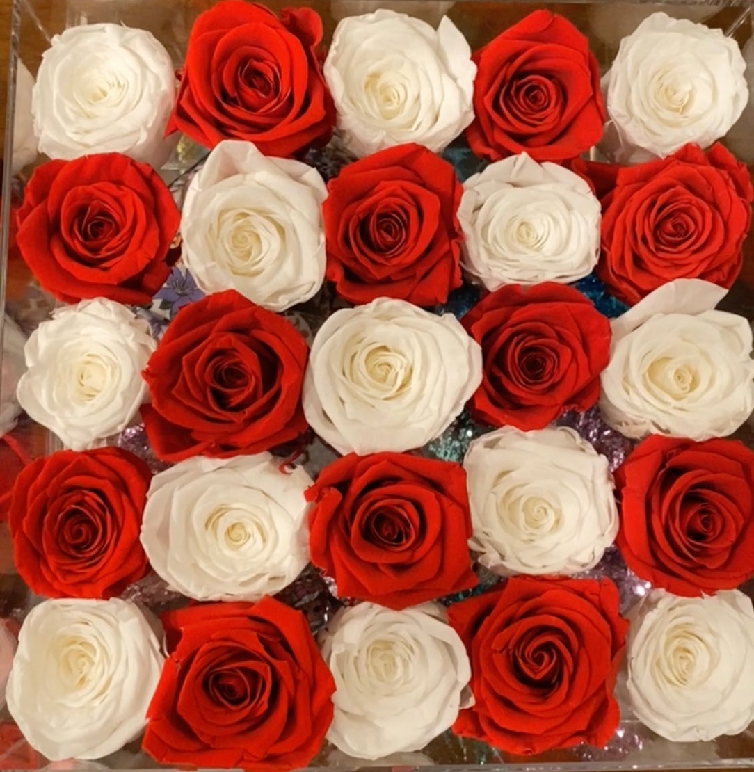 Twenty-five Preserved Roses in Clear Display - Juliet's Roses