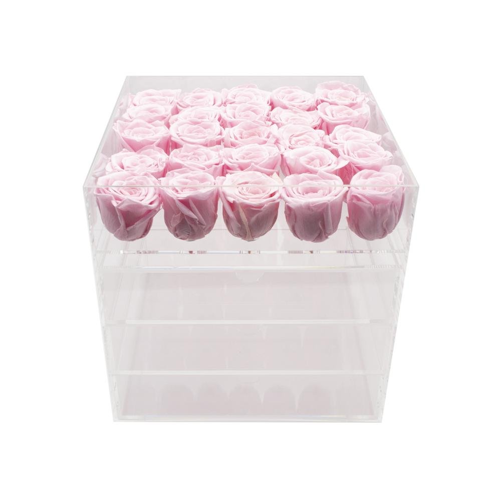 Twenty-five Preserved Roses in Clear Display - Juliet's Roses