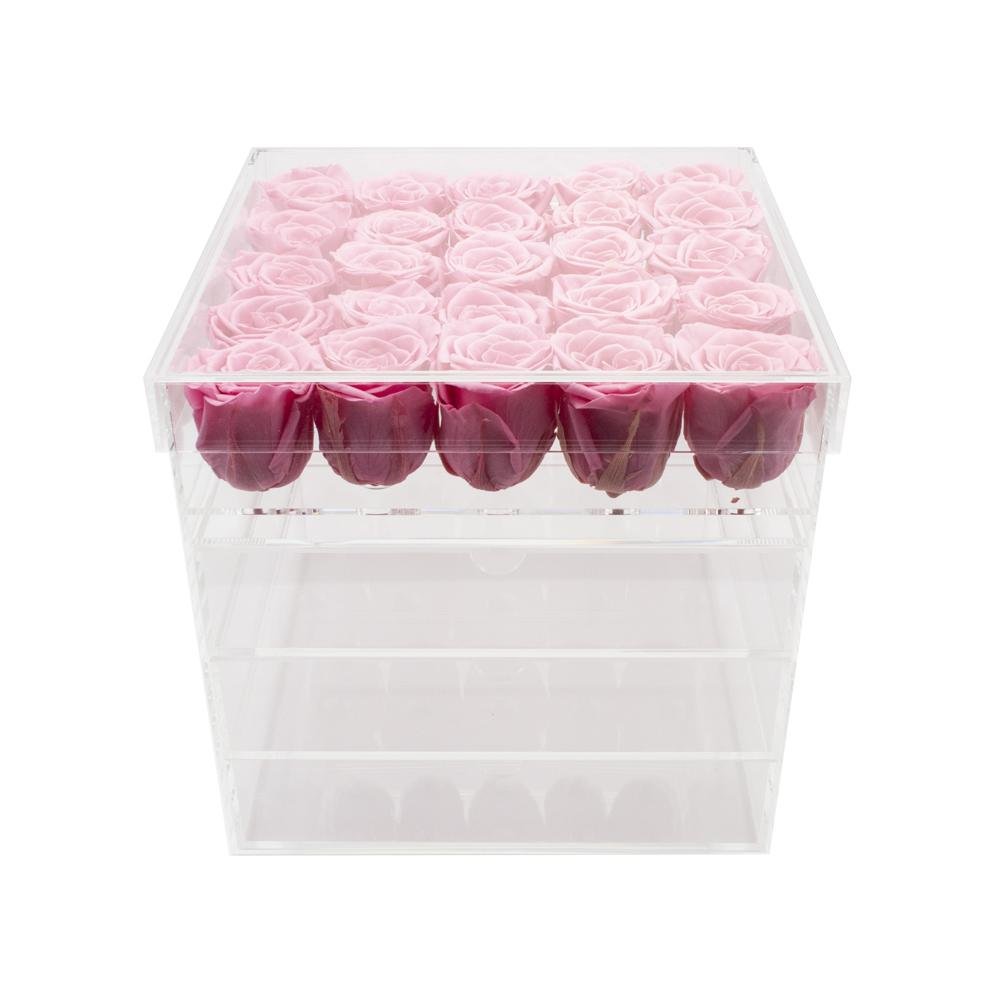 Twenty-five Preserved Roses in Clear Display - Juliet's Roses