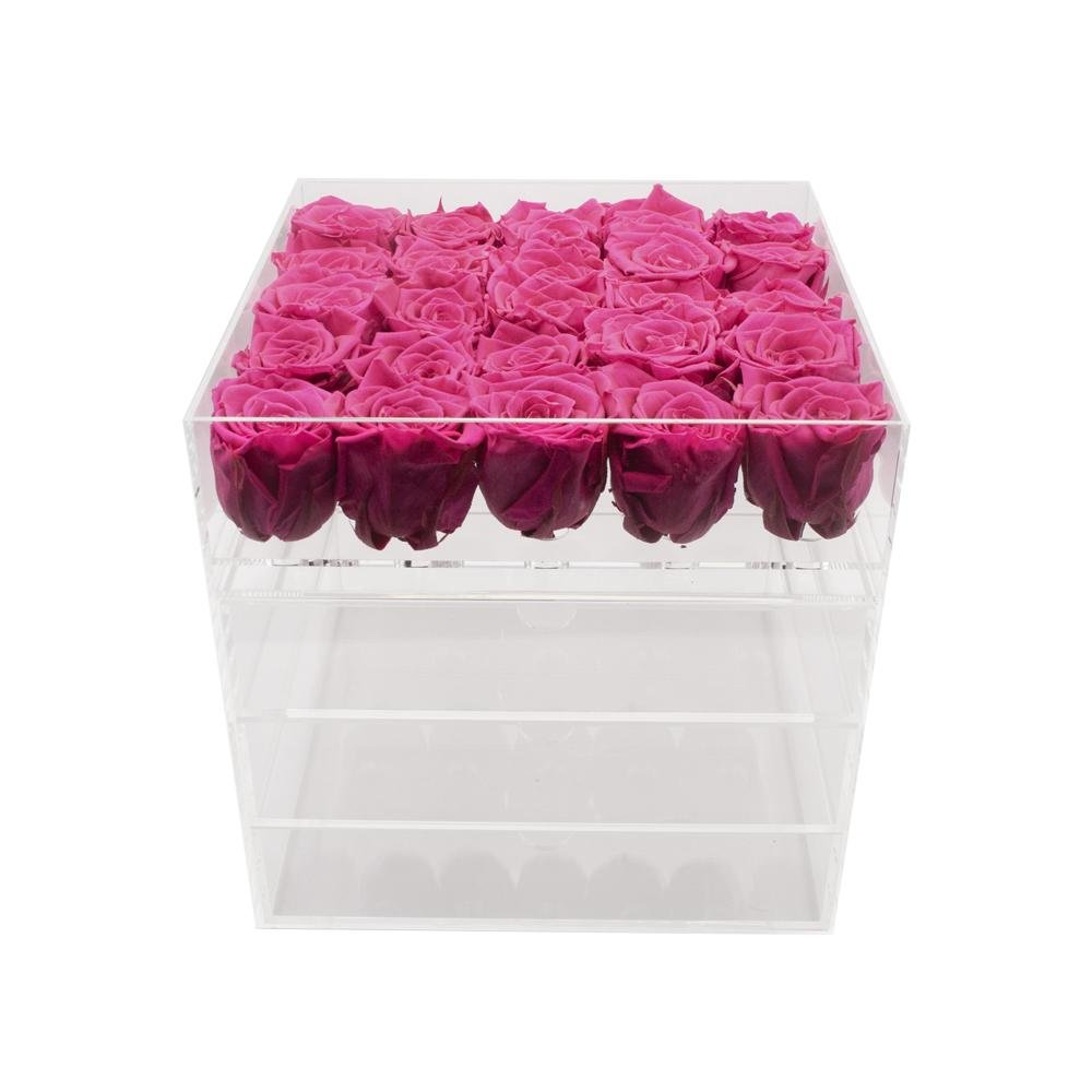 Twenty-five Preserved Roses in Clear Display - Juliet's Roses