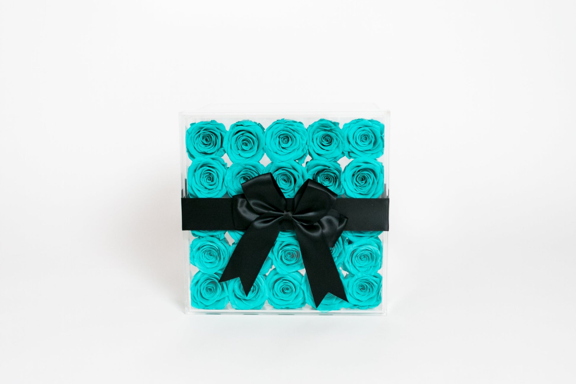 Twenty-five Preserved Roses in Clear Display - Juliet's Roses