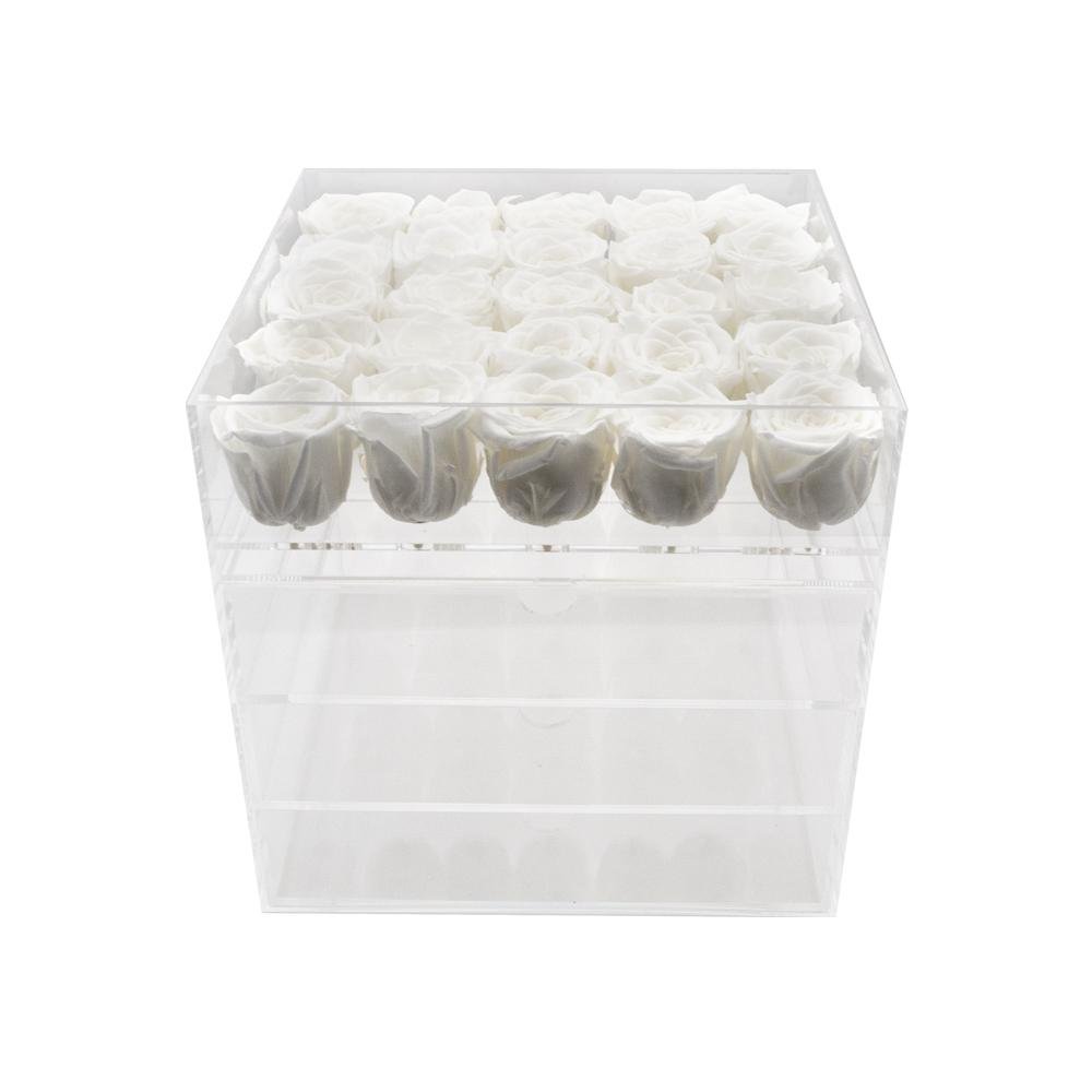 Twenty-five Preserved Roses in Clear Display - Juliet's Roses