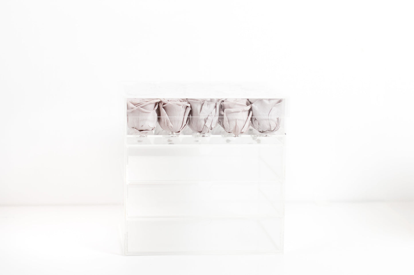 Twenty-five Preserved Roses in Clear Display - Juliet's Roses