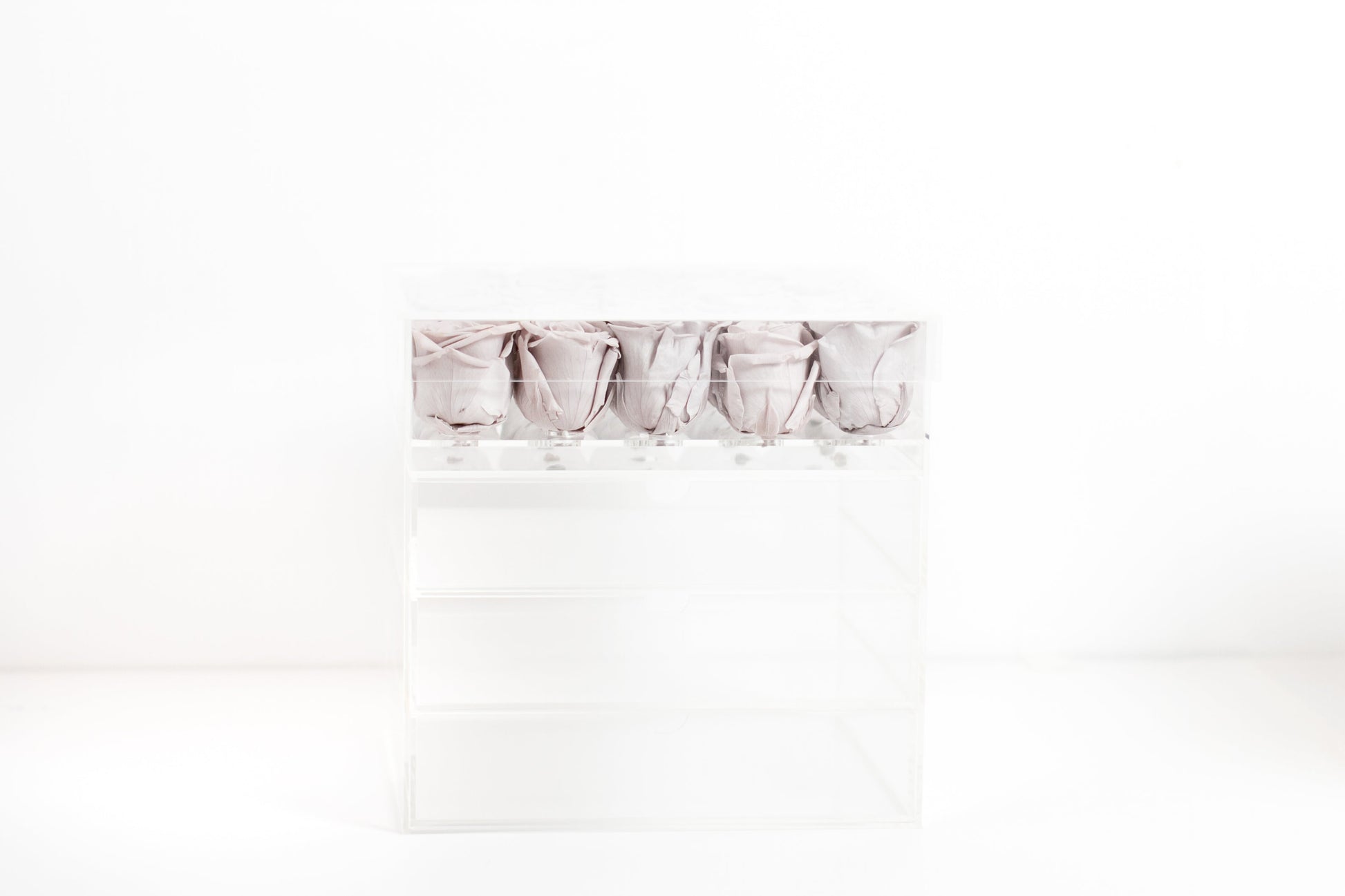 Twenty-five Preserved Roses in Clear Display - Juliet's Roses